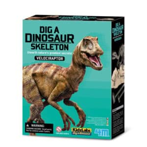 4M KidzLabs - Dinosaurier Ausgrabung Velociraptor Mehrfarbig