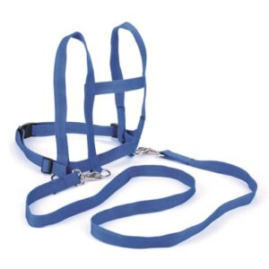 BLS Laufleine Nylon - blau