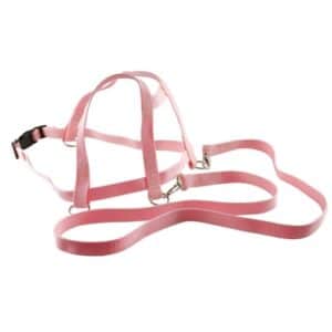 BLS Laufleine Nylon - rosa