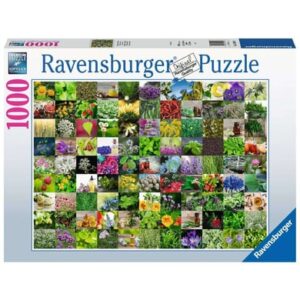 Ravensburger 99 Kräuter und Gewürze bunt