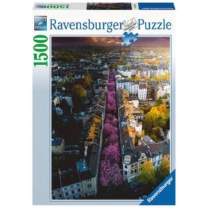 Ravensburger Blühendes Bonn bunt