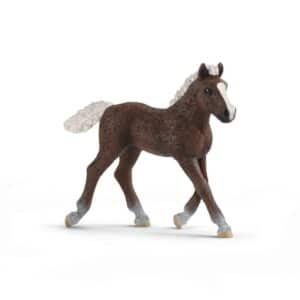 schleich® Schwarzwälder Fohlen 13899